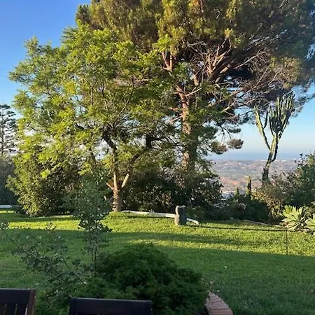 Loupiro Mijas